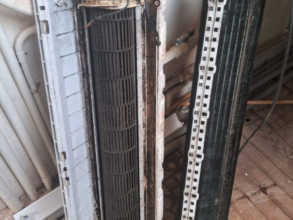 WhatsApp Image 2025-12-12 at 10.40.17 AM