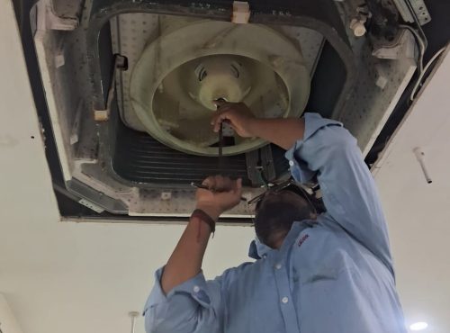 WhatsApp Image 2025-12-12 at 10.40.20 AM